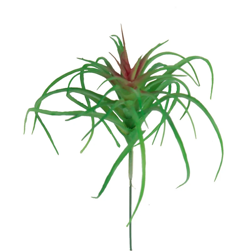 Flora Bunda® Air Plant Succulent Pick, 6ct.