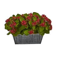 14in. Red Kalanchoe Plant in Black Embossed Planter