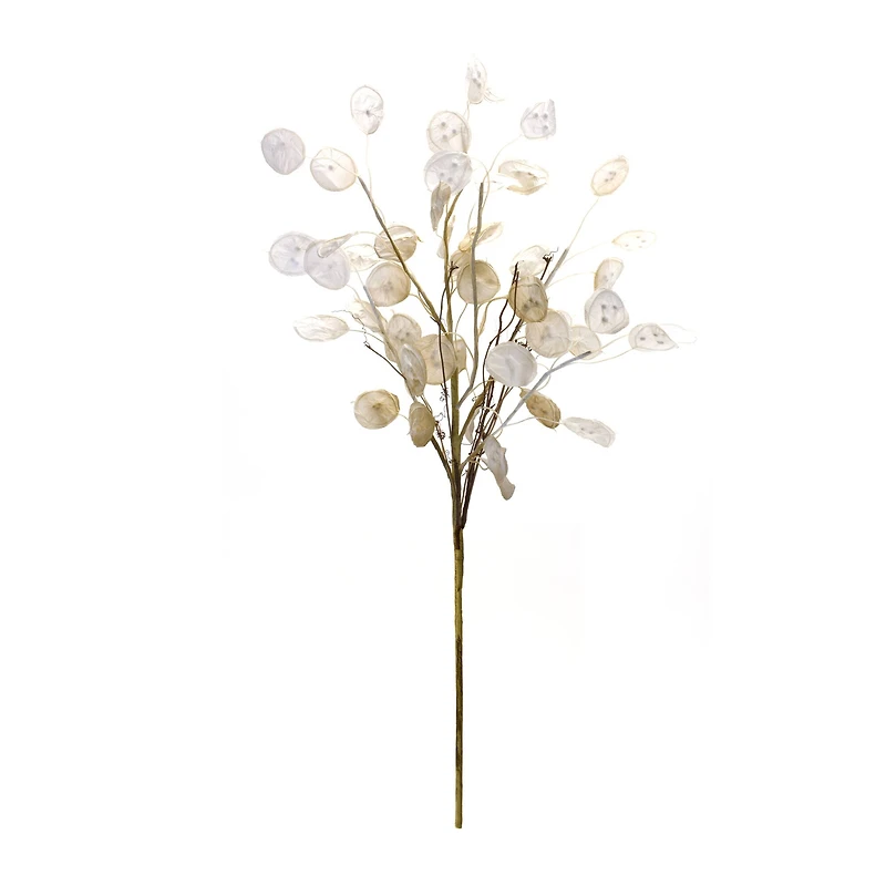 Silver Dollar Spray, 6ct.