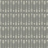 PKL Studio Arrows on Gray Cotton Home Décor Fabric