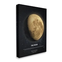Stupell Industries Earth's Moon Celestial Facts Outer Space Infographic Canvas Wall Art