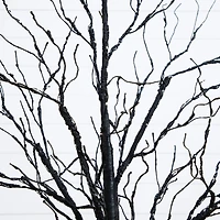 5ft. Pre-Lit Halloween Black Twig Artificial Tree with 240 Orange & Purple LED Lights