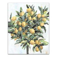 Painted Lemon Tree  16" x 20" Canvas Wall Art