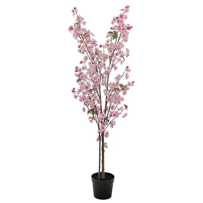 6ft. Potted Pink Cherry Blossom Tree by Ashland®