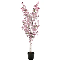 6ft. Potted Pink Cherry Blossom Tree by Ashland®