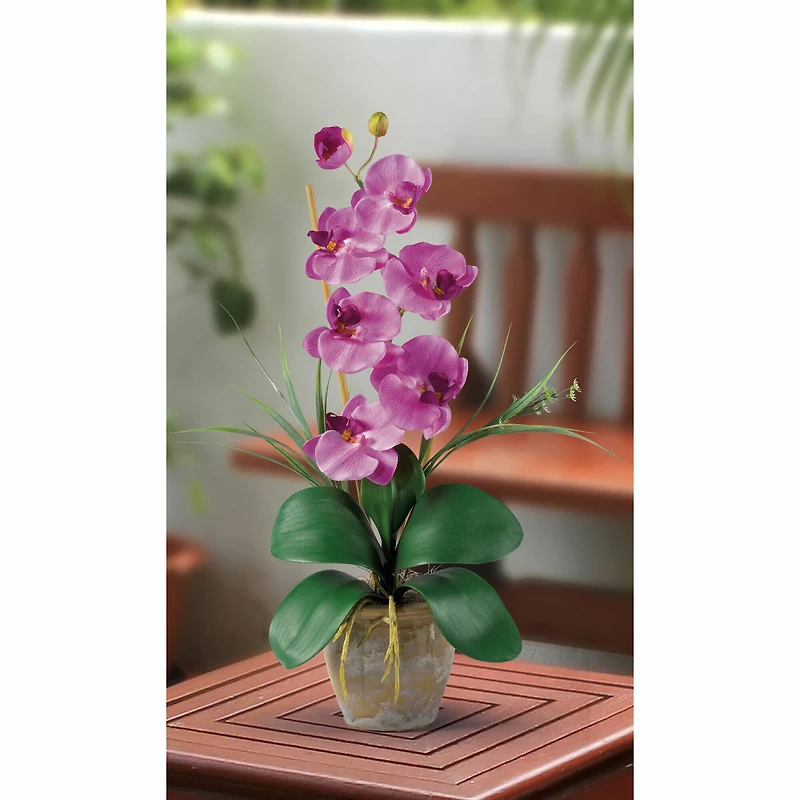 21" Moth Orchid Flower Arrangement in Ceramic Pot