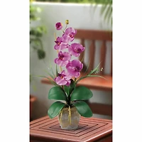 21" Moth Orchid Flower Arrangement in Ceramic Pot