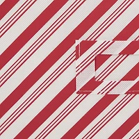 DII® Holiday Candy Stripe Print Large Ornament Storage