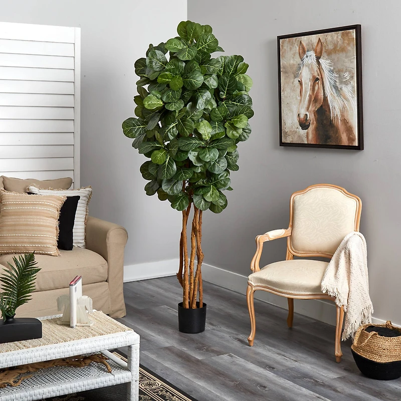 7ft. Potted Fiddle Leaf Fig Tree