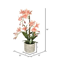 19" Artificial Deluxe Potted Cycnoches