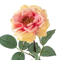 Orlane Rose Stem by Ashland