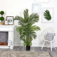 5.5ft. Potted Areca Palm Tree