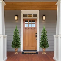 2 Pack 4ft. Pre-Lit Whitmire Pine Artificial Christmas Tree in Gold Urn Planter, Clear Lights