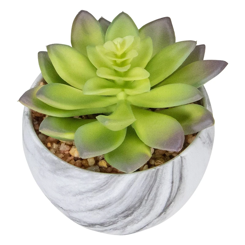 4" Green & Purple Succulent in Faux Marble Pot