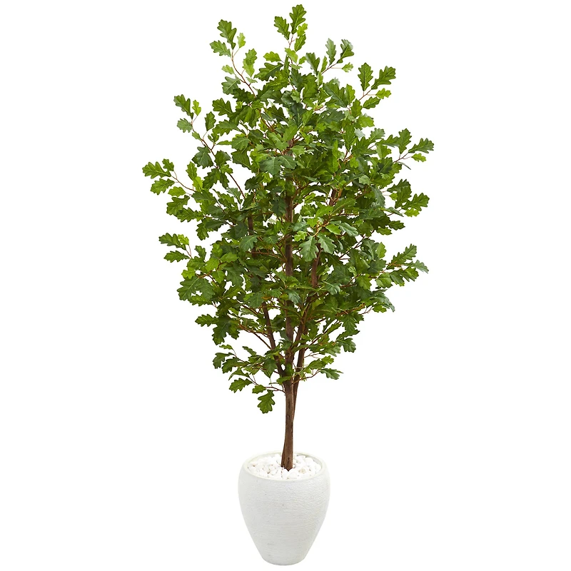 5.5ft. Oak Tree in Decorative White Planter