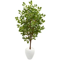 5.5ft. Oak Tree in Decorative White Planter
