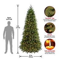 9 Ft. Pre-Lit Feel Real® Jersey Frasier Fir Pencil Slim Artificial Christmas Tree, Clear Lights
