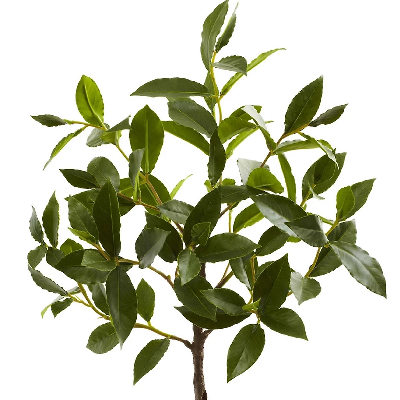 2.5ft. Topiary in Decorative Planter