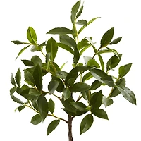 2.5ft. Topiary in Decorative Planter