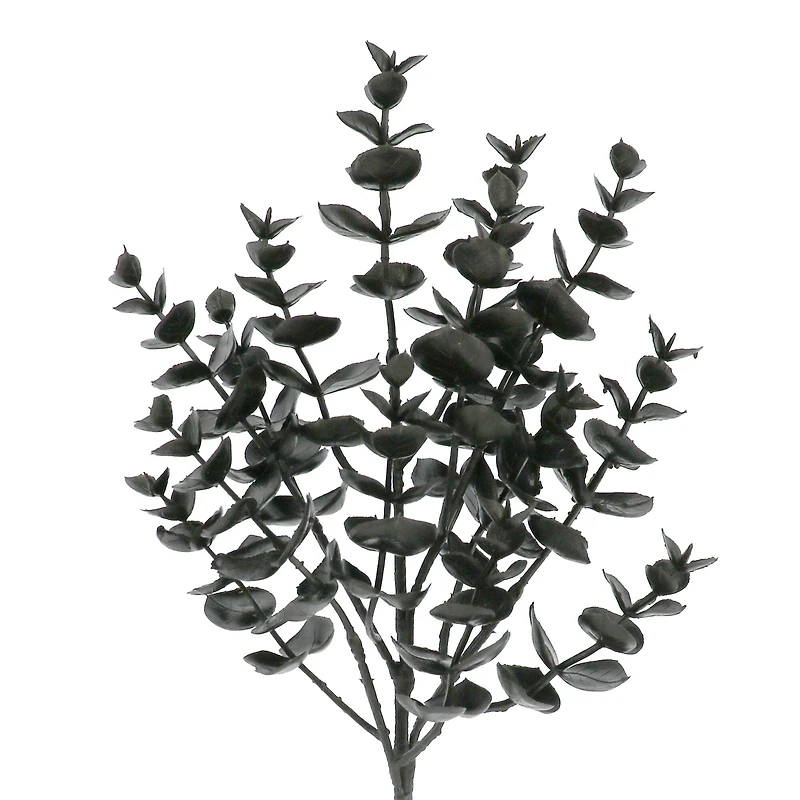 15" Black Eucalyptus Pick by Ashland®