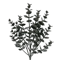 15" Black Eucalyptus Pick by Ashland®