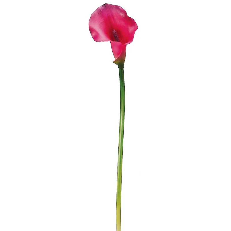 Dark Pink Calla Lily Stem