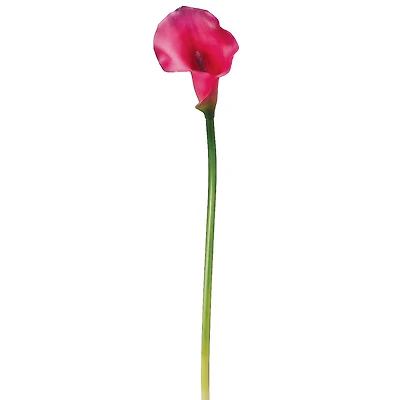 Dark Pink Calla Lily Stem