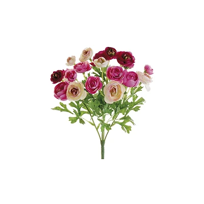 Pink Mini Ranunculus Bush 