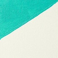 Liquitex® Professional White Gesso Surface Prep Medium