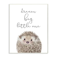 Stupell Industries Dream Big Little One Adorable Inspirational Hedgehog Wall Plaque