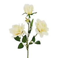 28" Cream Rose Real Touch Stem by Ashland®