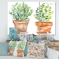 Designart - Two Green House Plants In Orange Flower Pots