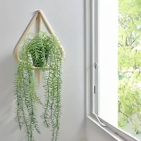 18" Potted Rosemary Plant by Ashland®