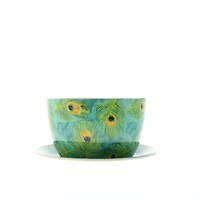 4.5'' Peacock Feather Teacup Planter
