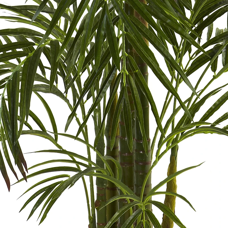 4.5ft. Potted Areca Palm