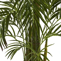 4.5ft. Potted Areca Palm