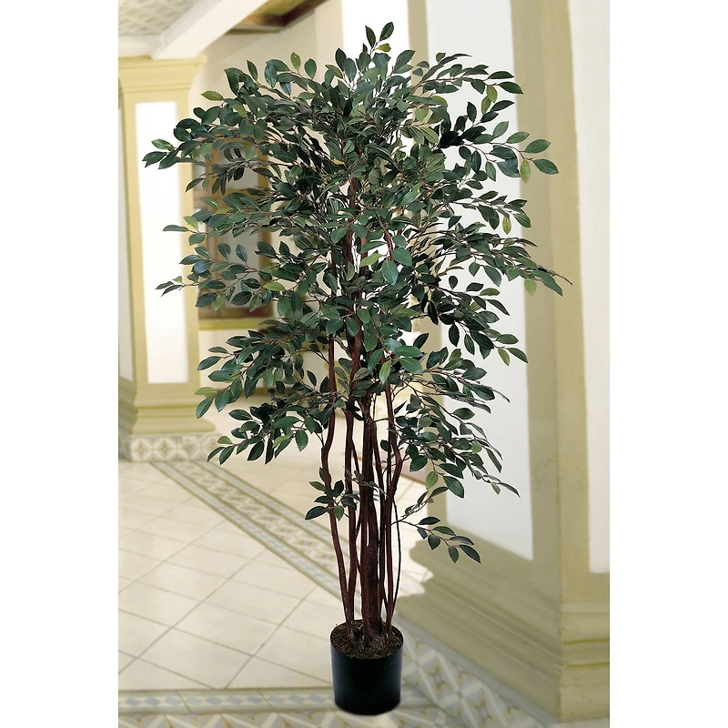 4ft. Potted Ruscus Tree