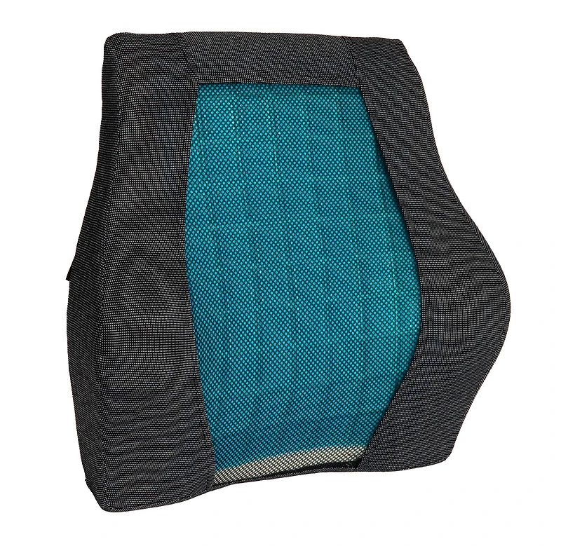 Mind Reader Teal & Black Ergonomic Back Cushion
