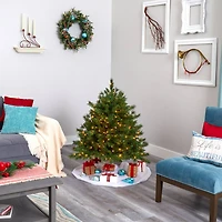 4ft. Pre-Lit Wyoming Mixed Pine Artificial Christmas Tree, Clear LED Lights