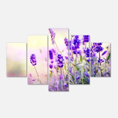Designart - Purple Lavender Field - Large Floral Photography Canvas Art Print