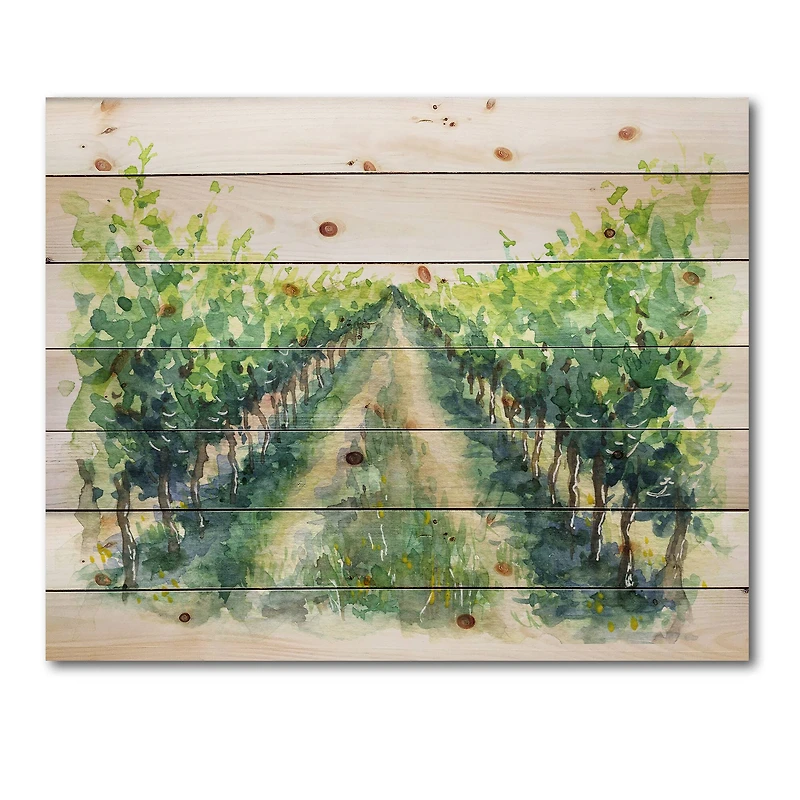 Designart - Rural Scene Vineyard Road
