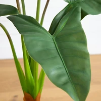 3.5ft. Arrowhead Philodendron in White Decorative Planter
