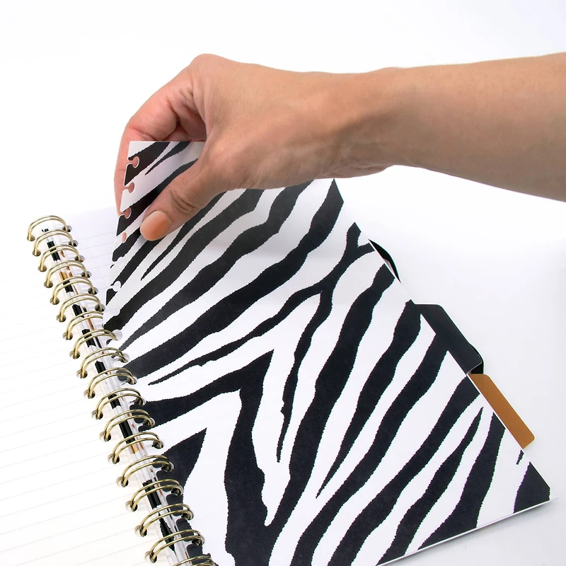 Pukka Pads B5 Wild Project Book Set