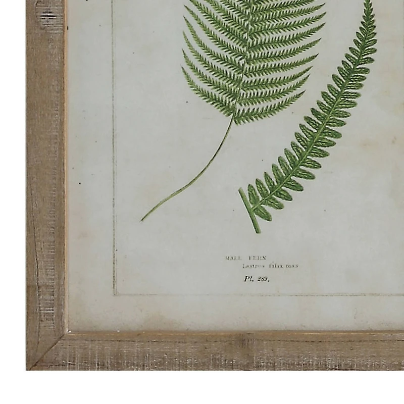 Hello Honey® Wood Framed Wall Décor with Fern Fronds Set