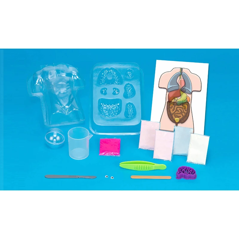 Thames & Kosmos Gross Anatomy Make-Your-Own Squishy Human Body
