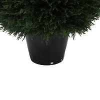 2ft. Potted Green Cedar Ball