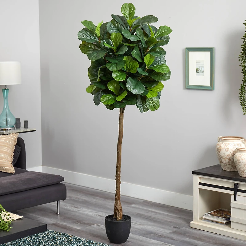 6ft. Potted Fiddle Leaf Tree
