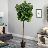 6ft. Potted Fiddle Leaf Tree