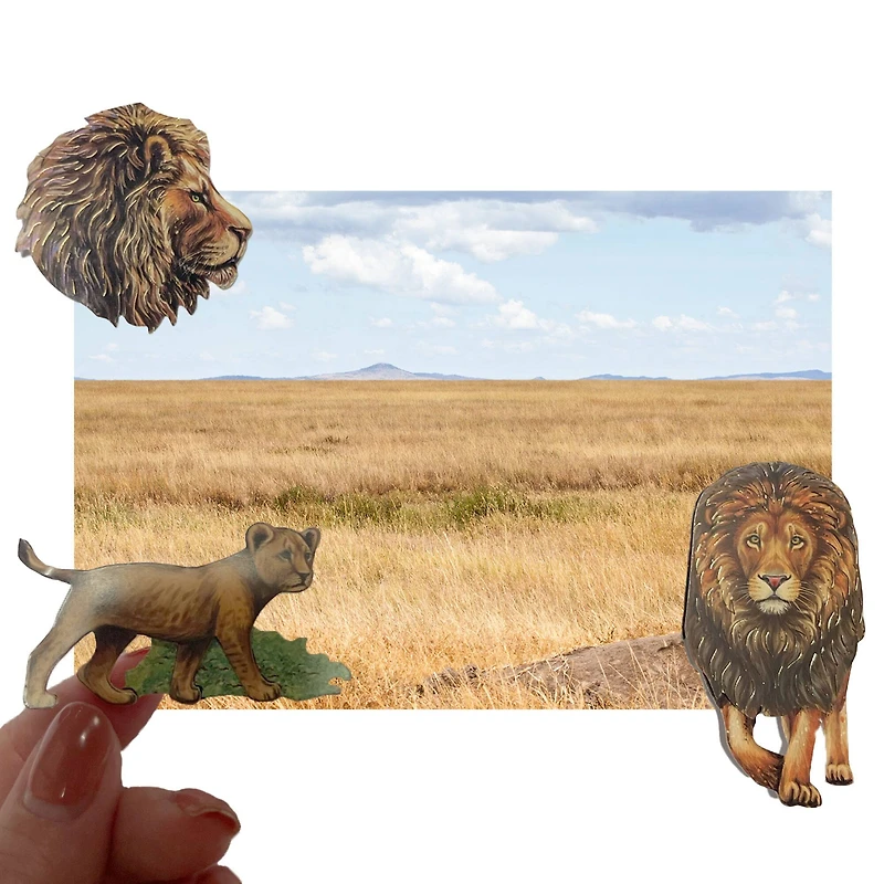 Lion Stickers by Recollections™