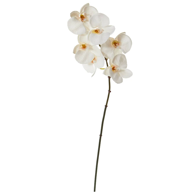 22" Phalaenopsis Orchid Artificial Flower (Set of 12)